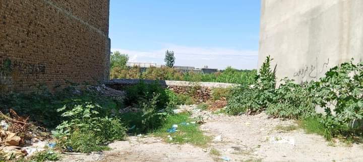 FB_IMG_1729682246097