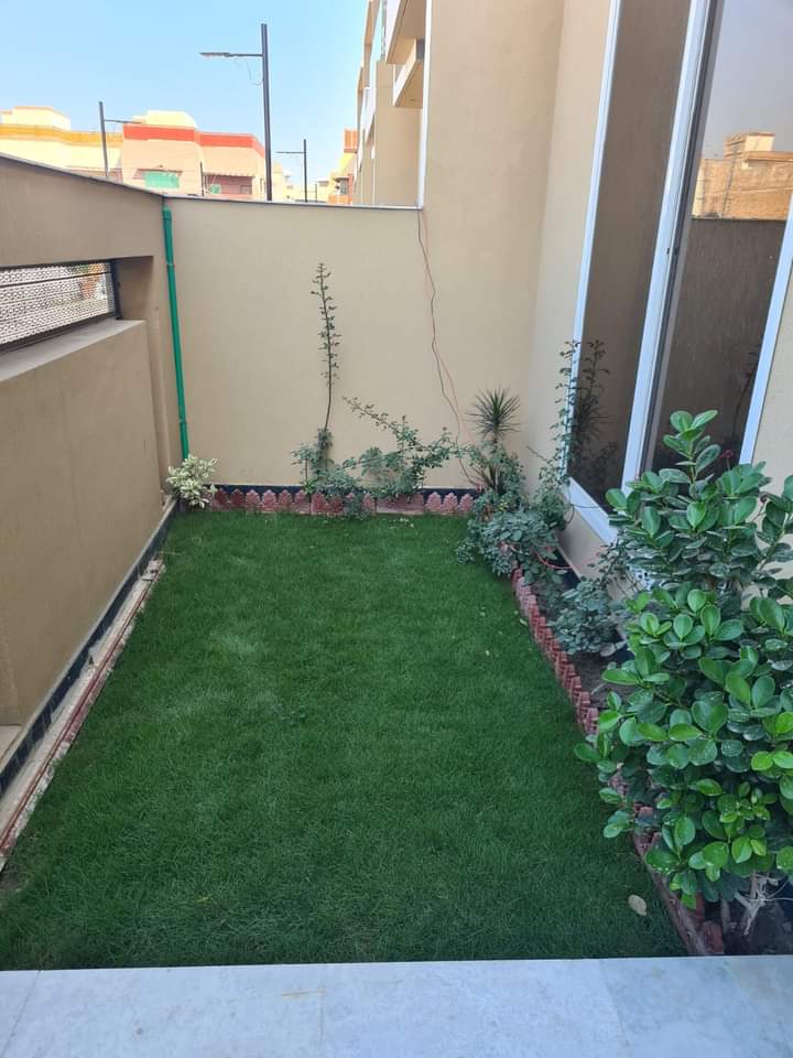 FB_IMG_1729687322318