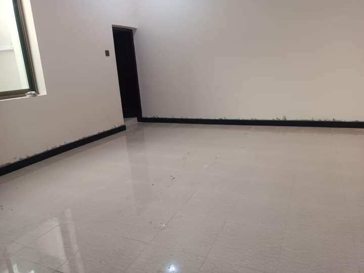 FB_IMG_1729940886272