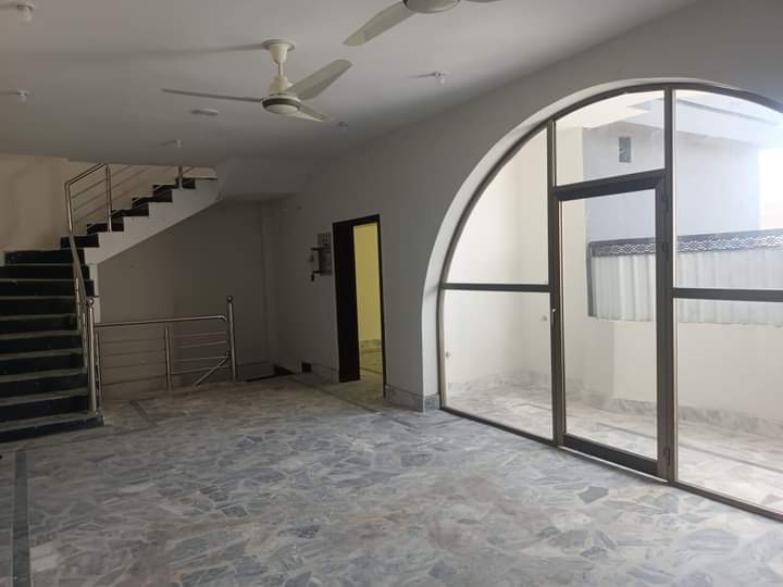 FB_IMG_1729940908377