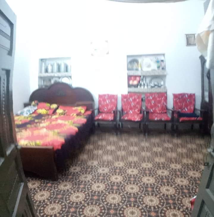 FB_IMG_1730259506734