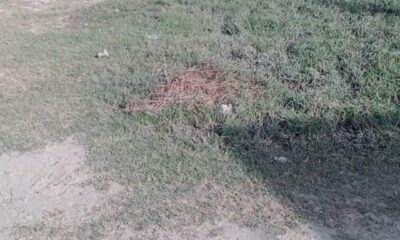 FB_IMG_1730291534168