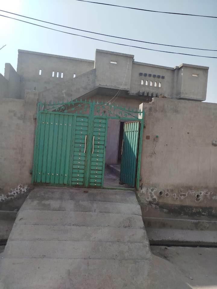 FB_IMG_1730310654384