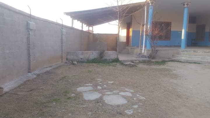 FB_IMG_1730361044692