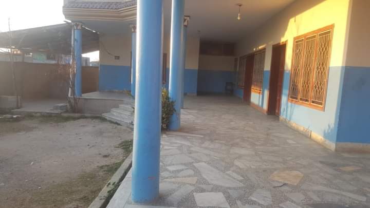 FB_IMG_1730361048184