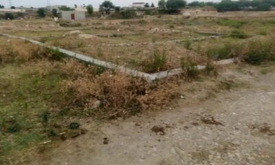 Screenshot_20241004-172430_Facebook