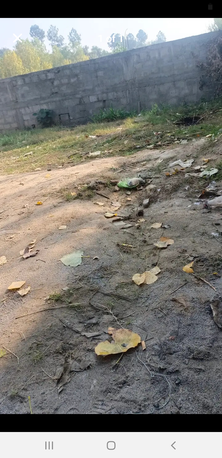 Screenshot_20241031-125842_Facebook