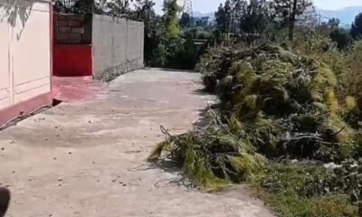 Screenshot_20241031-132105_Facebook