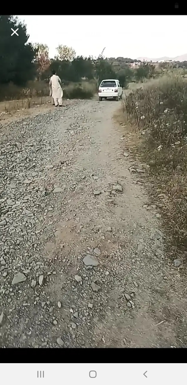 Screenshot_20241031-171343_Facebook