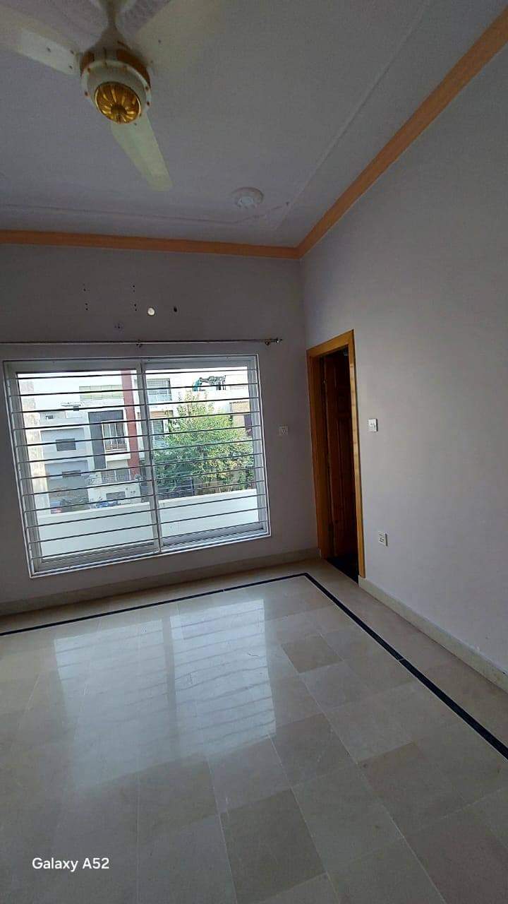 FB_IMG_1730477251339