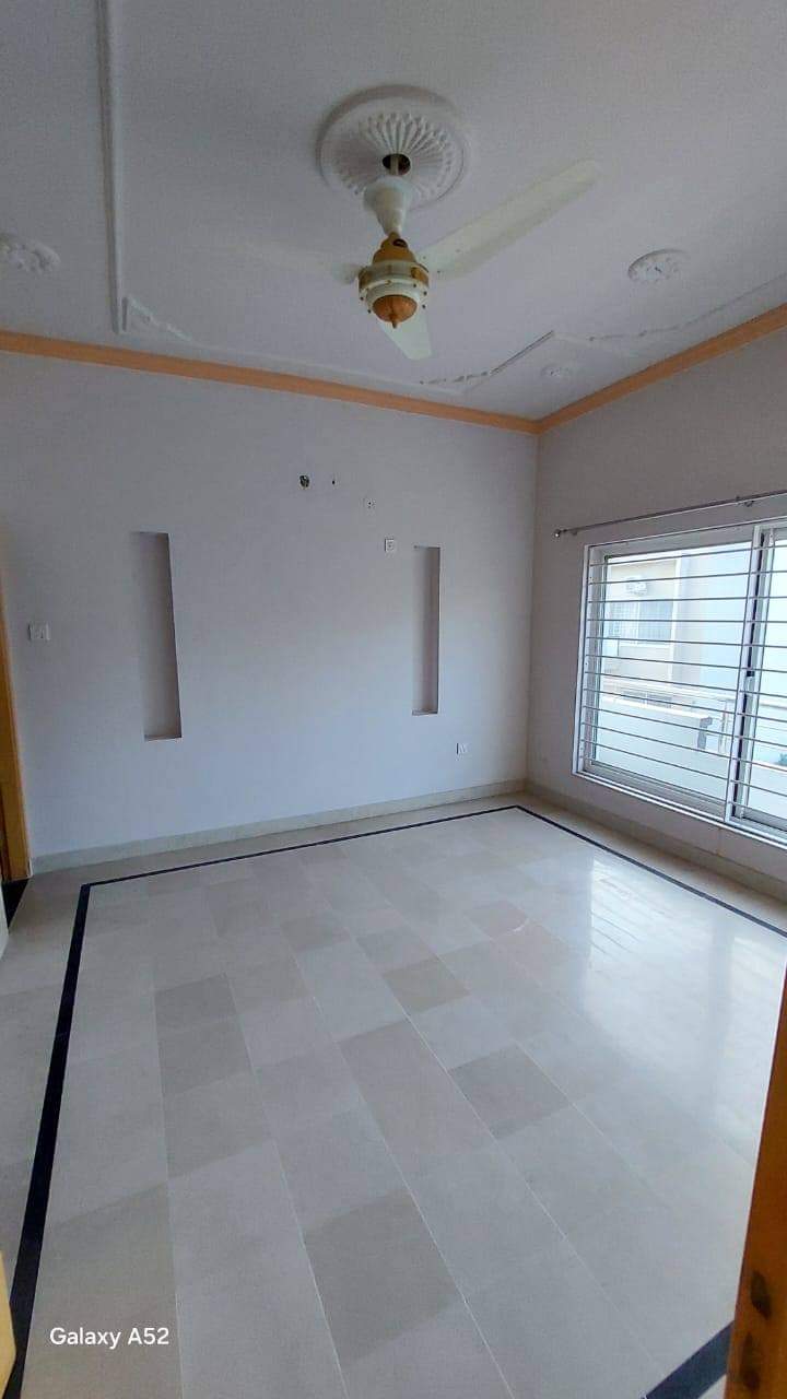 FB_IMG_1730477283051