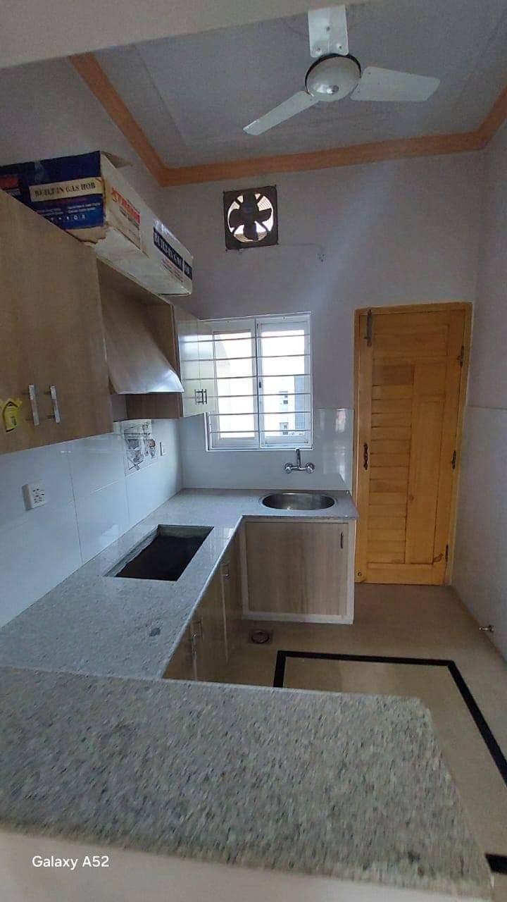 FB_IMG_1730477285706