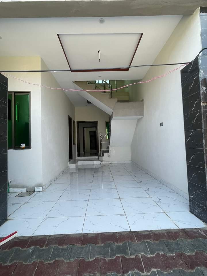 FB_IMG_1730568261901