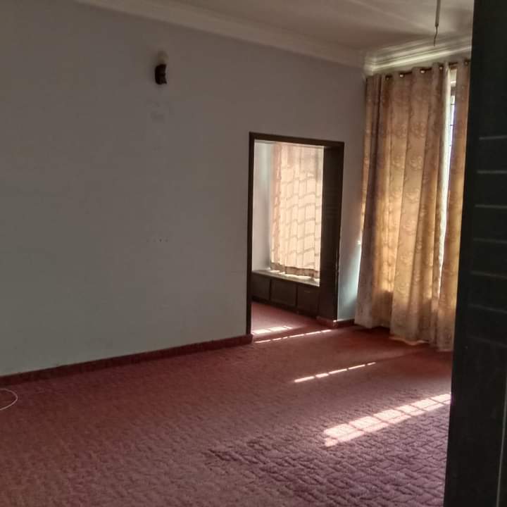 FB_IMG_1730863084079