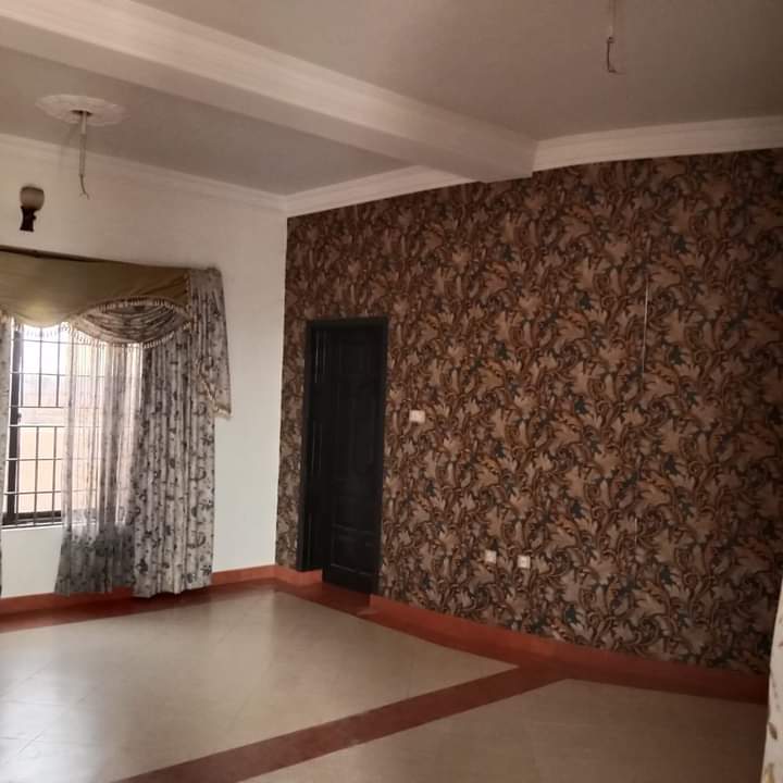 FB_IMG_1730863086168