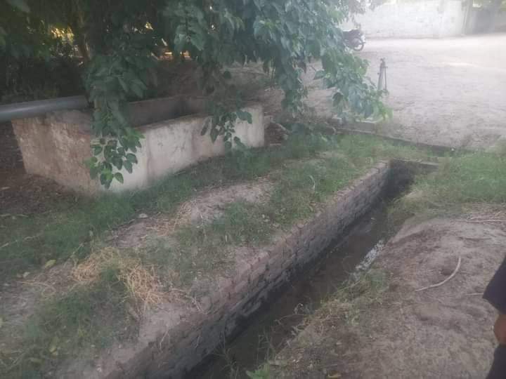 FB_IMG_1731045325904