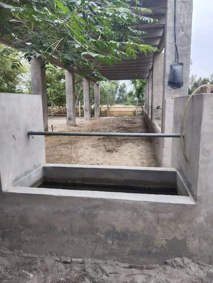 FB_IMG_1731045334078