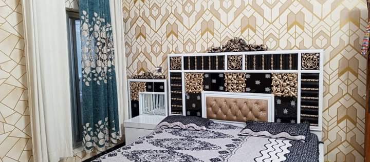 FB_IMG_1731046565337