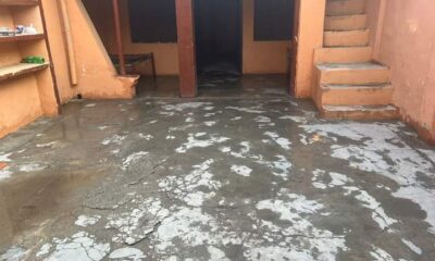 FB_IMG_1731046987710