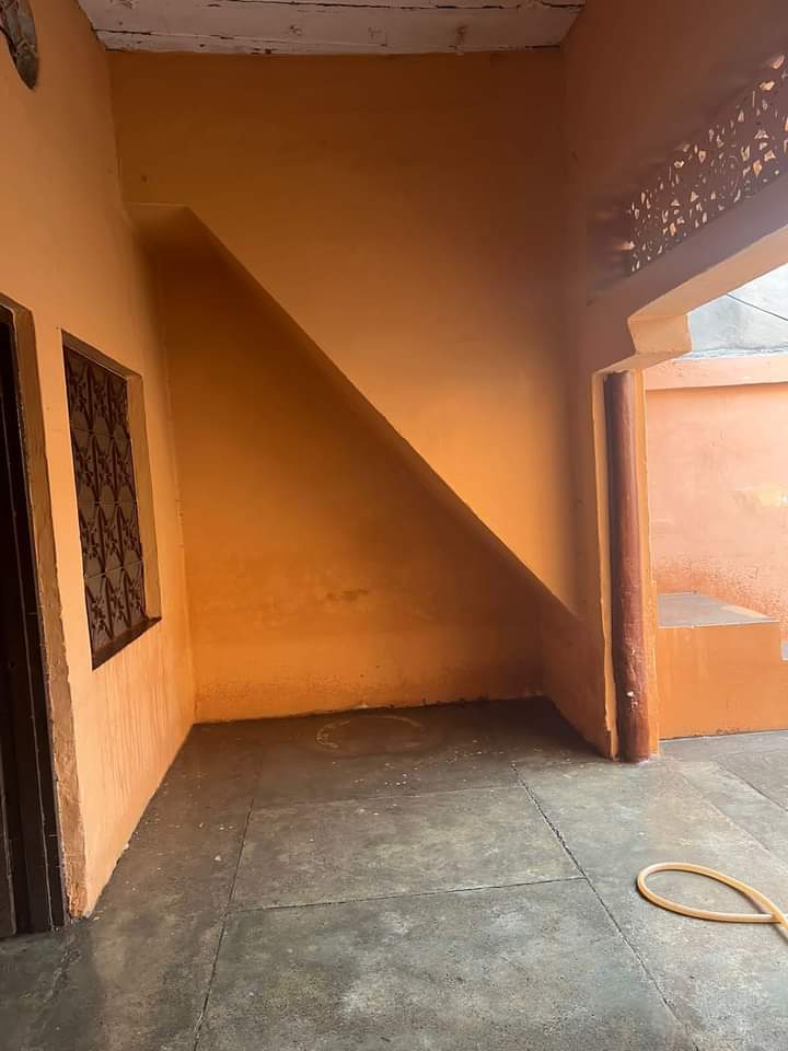 FB_IMG_1731046992484