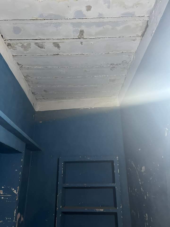 FB_IMG_1731047001557