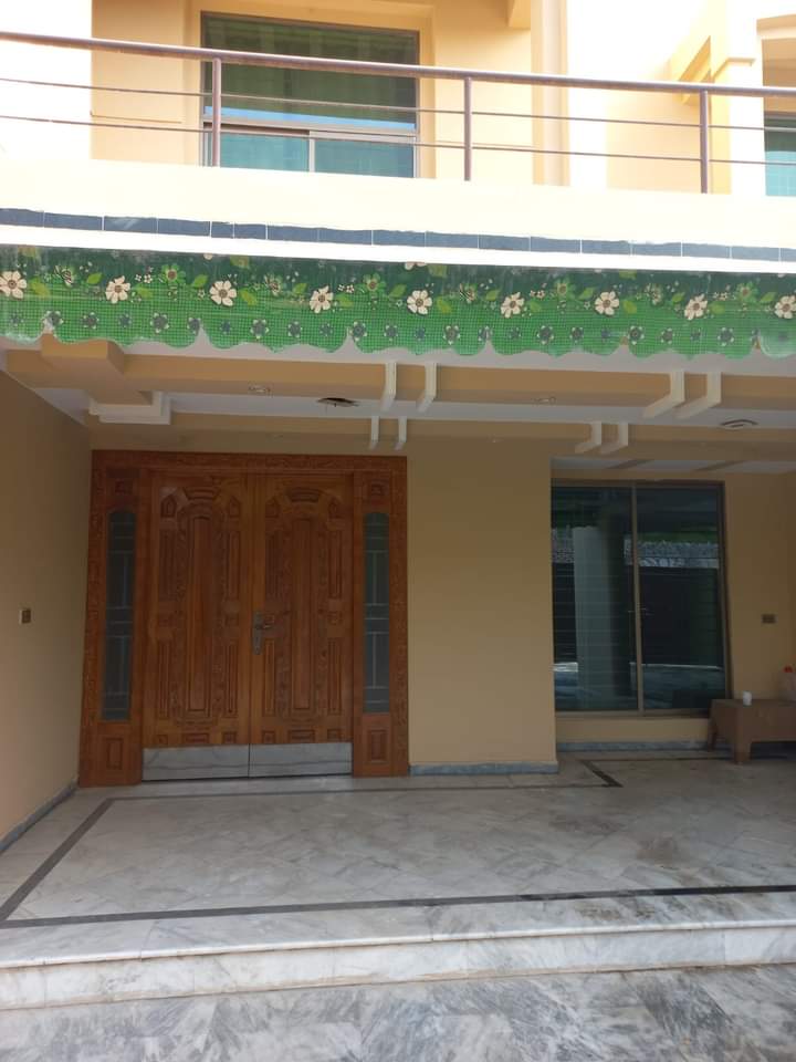 FB_IMG_1731085606528