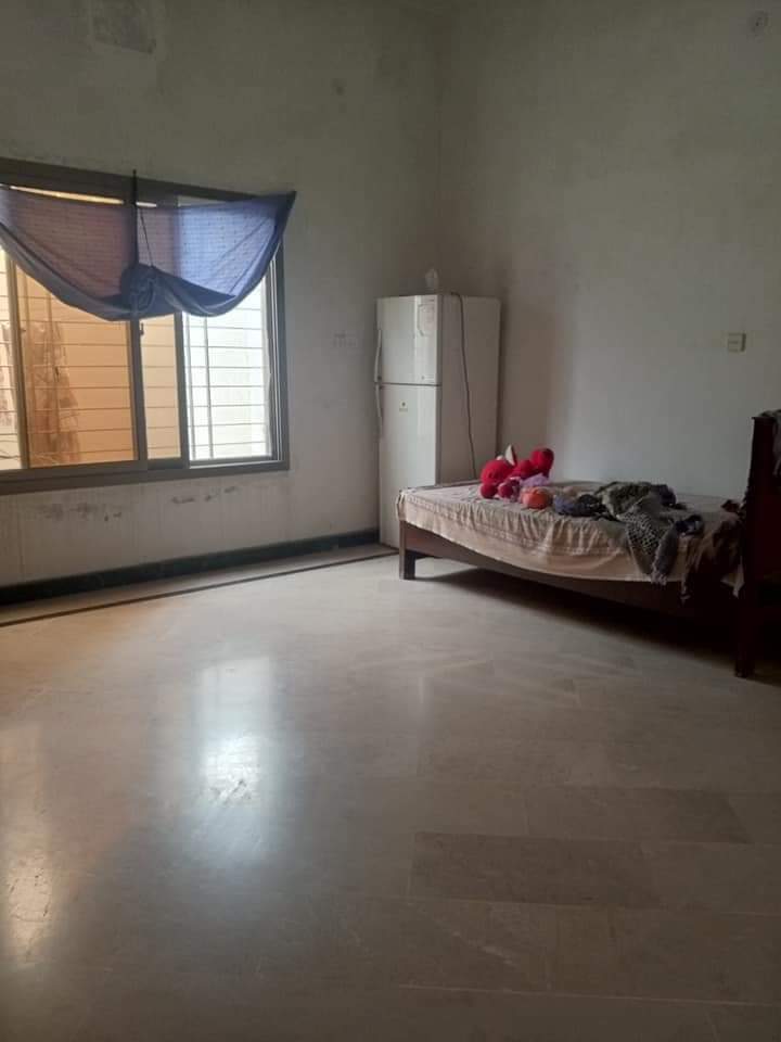 FB_IMG_1731087663971