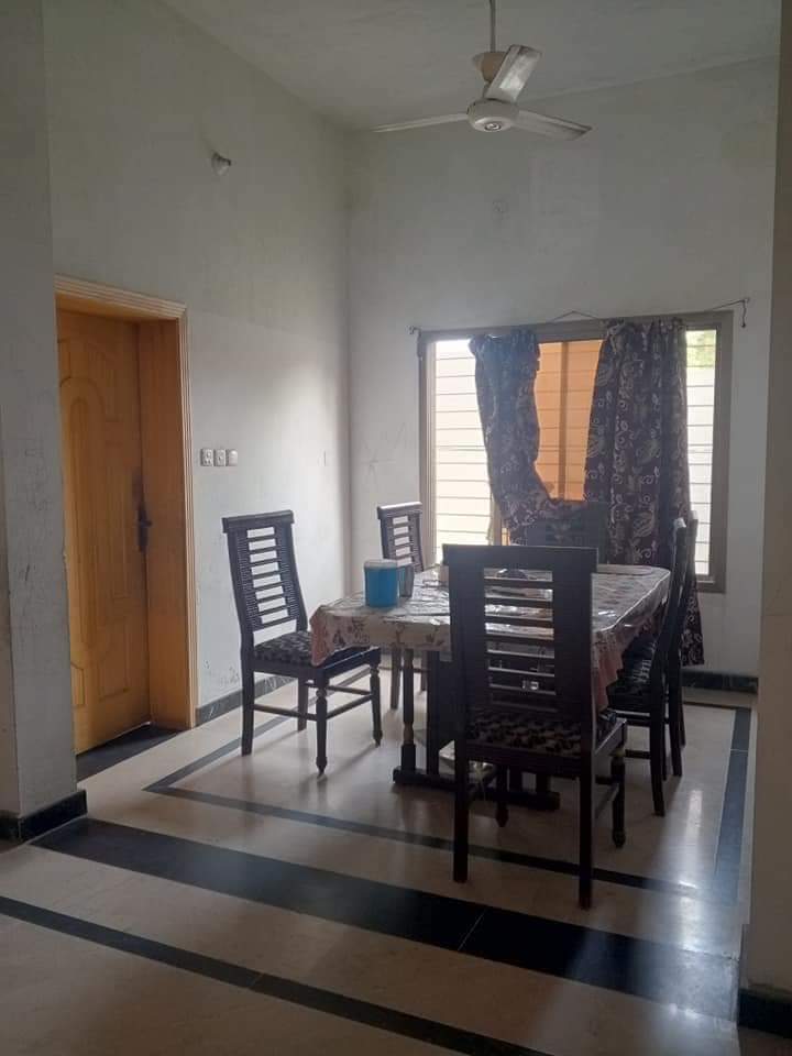 FB_IMG_1731087666261