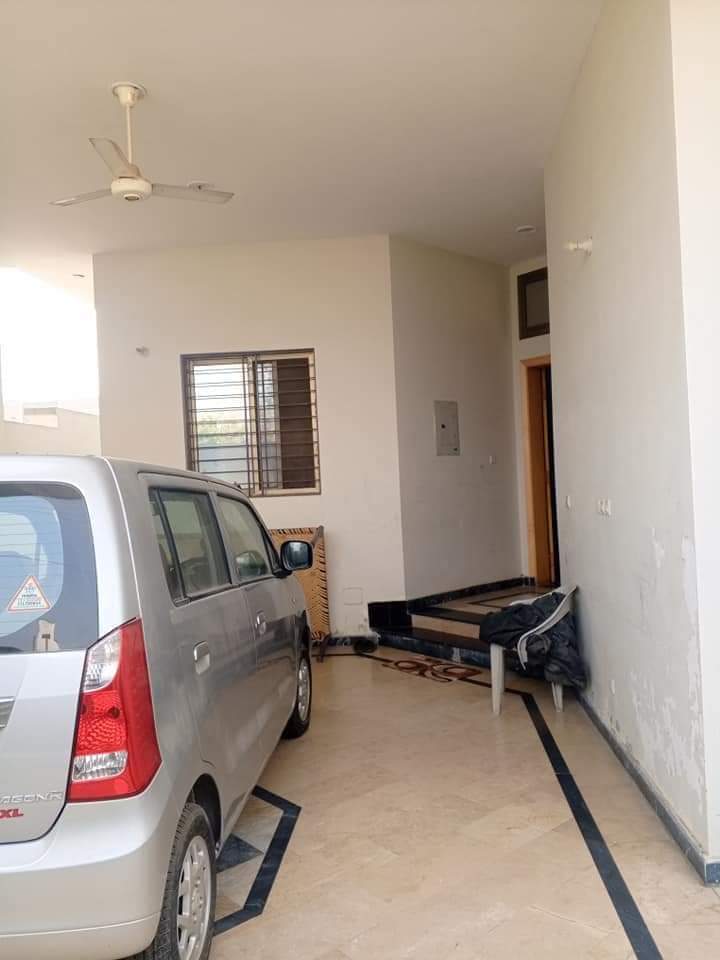 FB_IMG_1731087669941