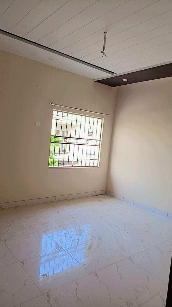 FB_IMG_1731087942352