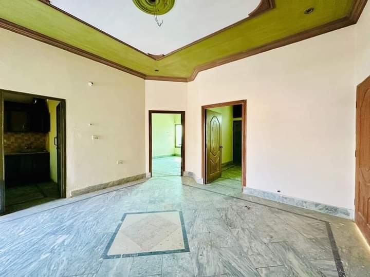 FB_IMG_1731328464369