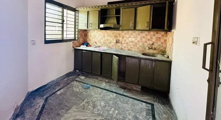 FB_IMG_1731328466542