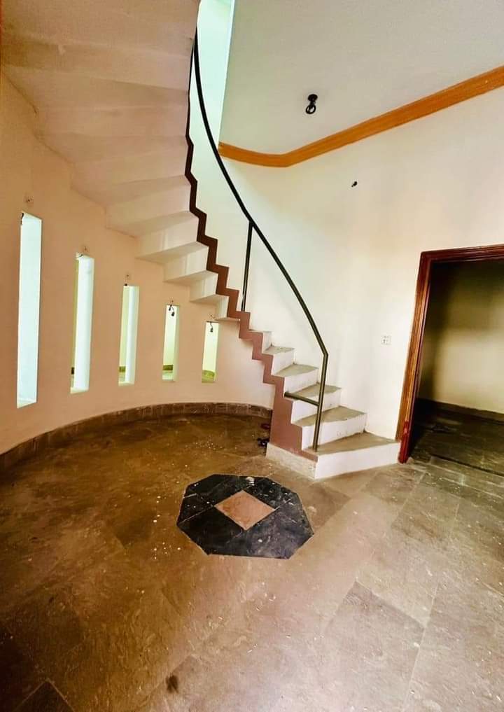 FB_IMG_1731328601156