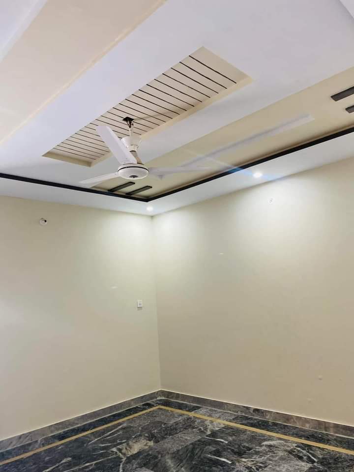 FB_IMG_1731333224958