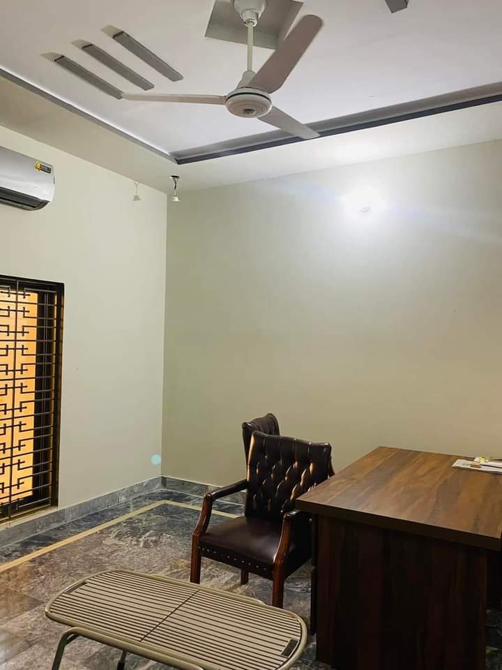 FB_IMG_1731333233597