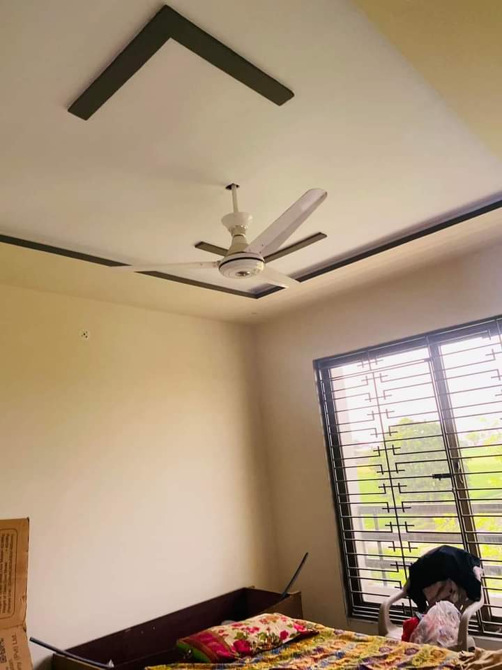 FB_IMG_1731333237255