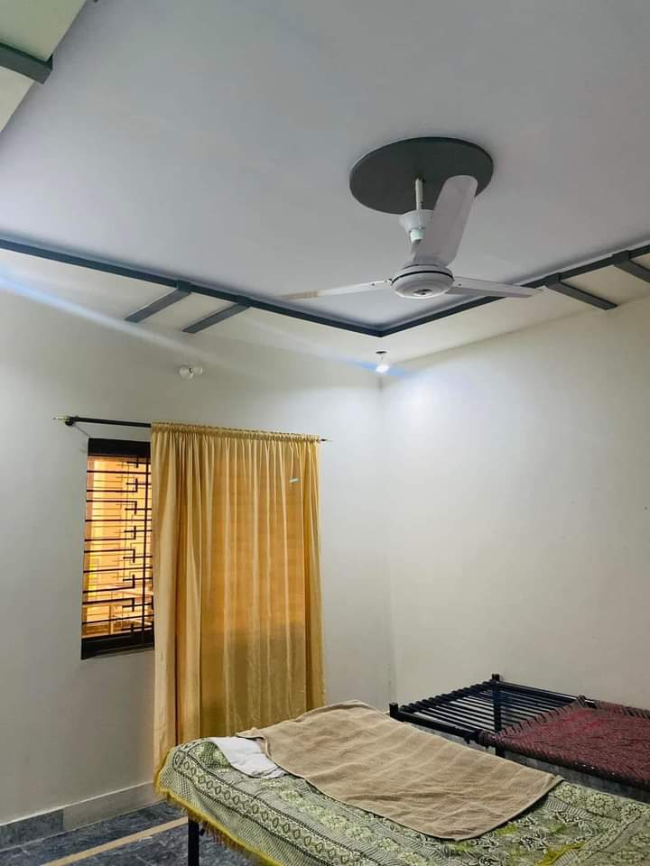 FB_IMG_1731333239595