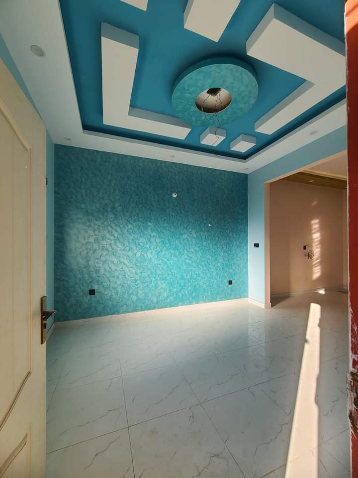 FB_IMG_1731432869770