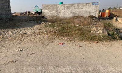 FB_IMG_1731547724575