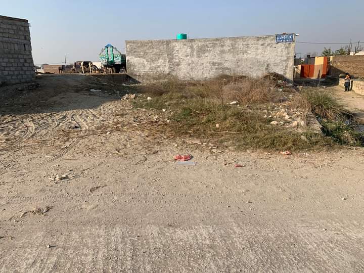 FB_IMG_1731547724575