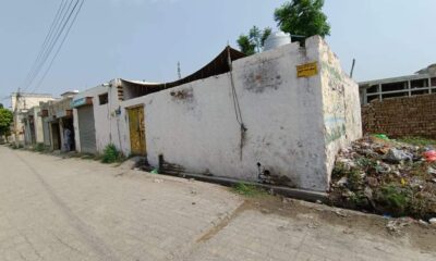 FB_IMG_1731548404667