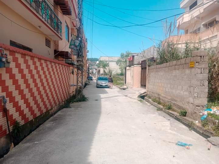 FB_IMG_1731567025009