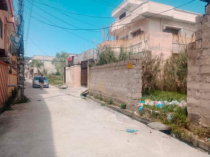 FB_IMG_1731567026779