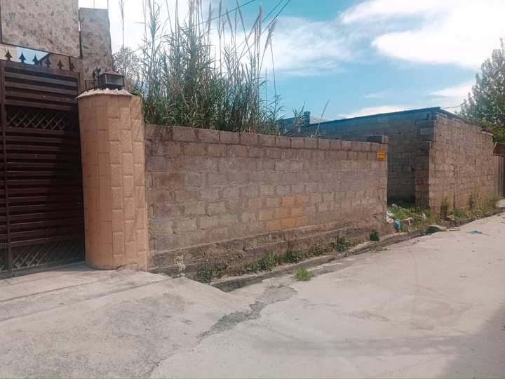 FB_IMG_1731567029737