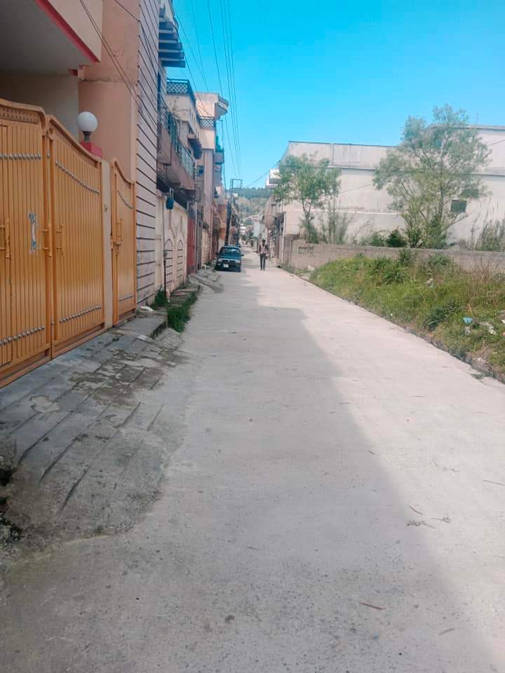 FB_IMG_1731567031958