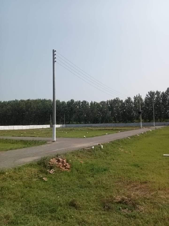 FB_IMG_1731592362181