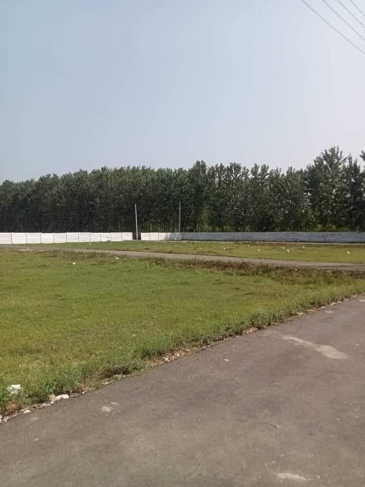 FB_IMG_1731592363917