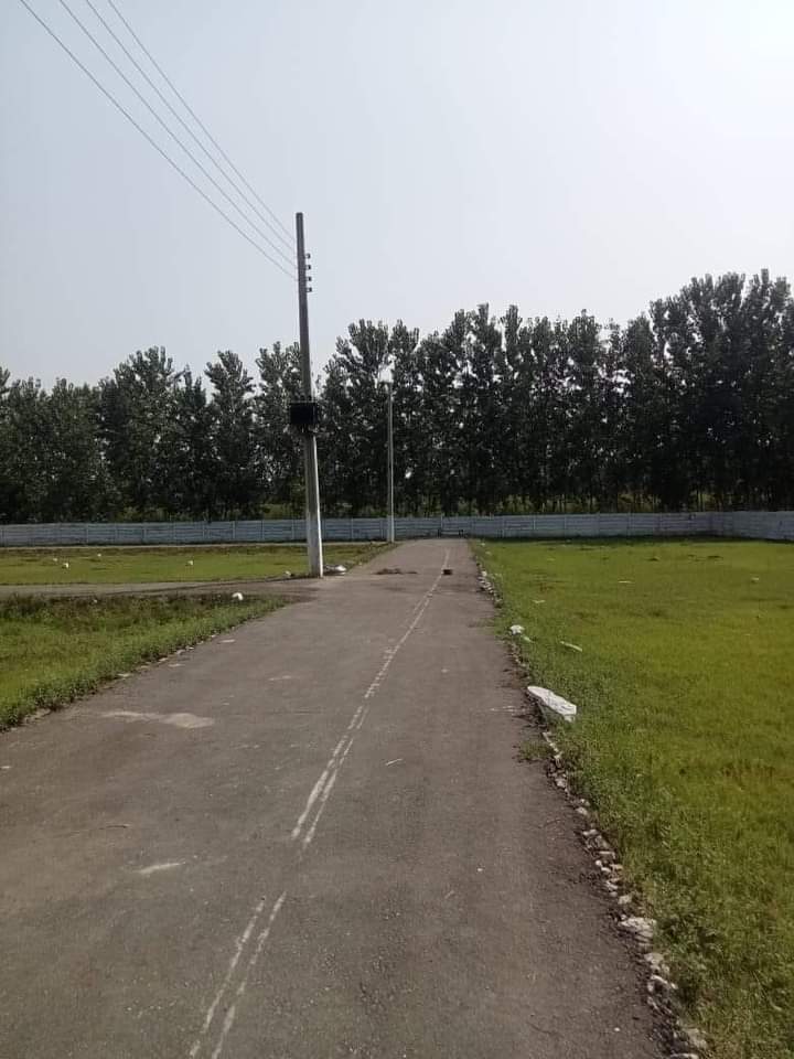 FB_IMG_1731592365540