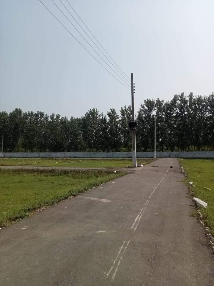 FB_IMG_1731592367210