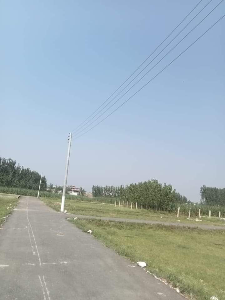 FB_IMG_1731592370138